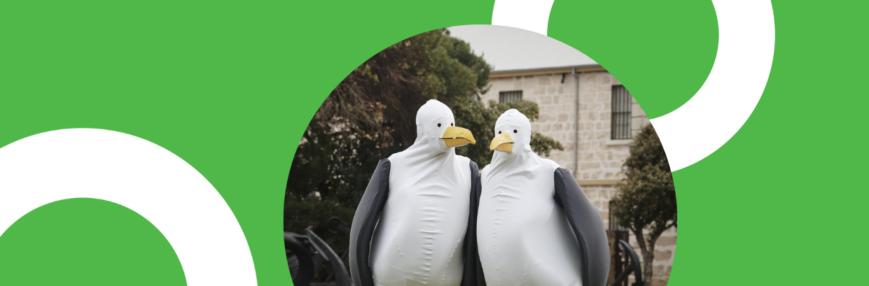 The Seagulls are Flocking <br> to Bay Central